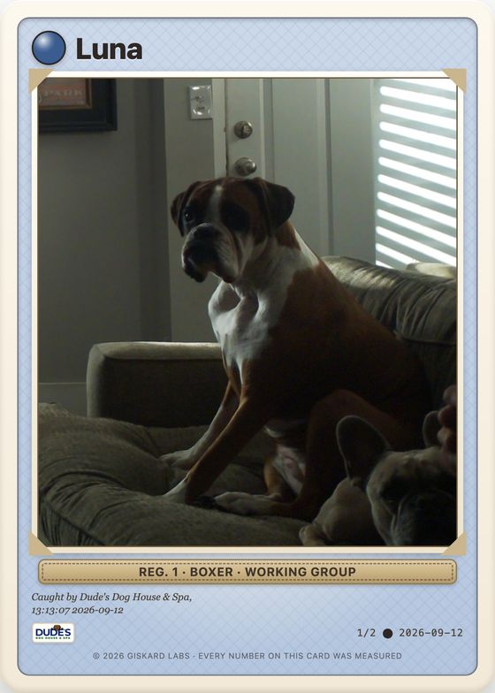 A Pokémon-style card of Luna, a brindle boxer sitting on a couch in window light, on a pale blue patterned frame.